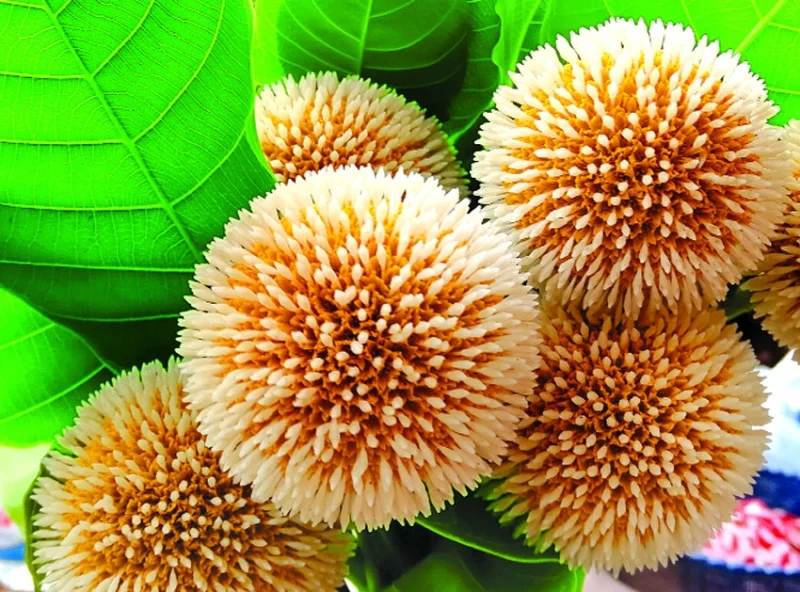 Come Realizzare un Fiore Kadam con Materiali Riciclati: Una Guida DIY Passo dopo Passo